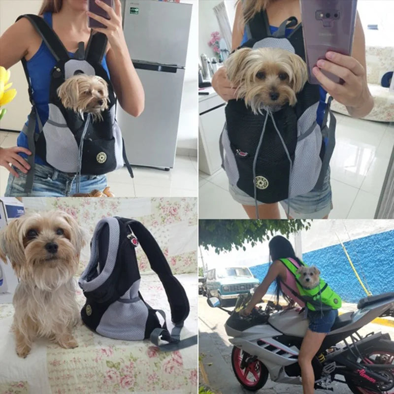 Sac à Dos Transporteur Chien & Chat – Mesh Respirant | Balade, Moto & Vélo | Tailles S, M & L