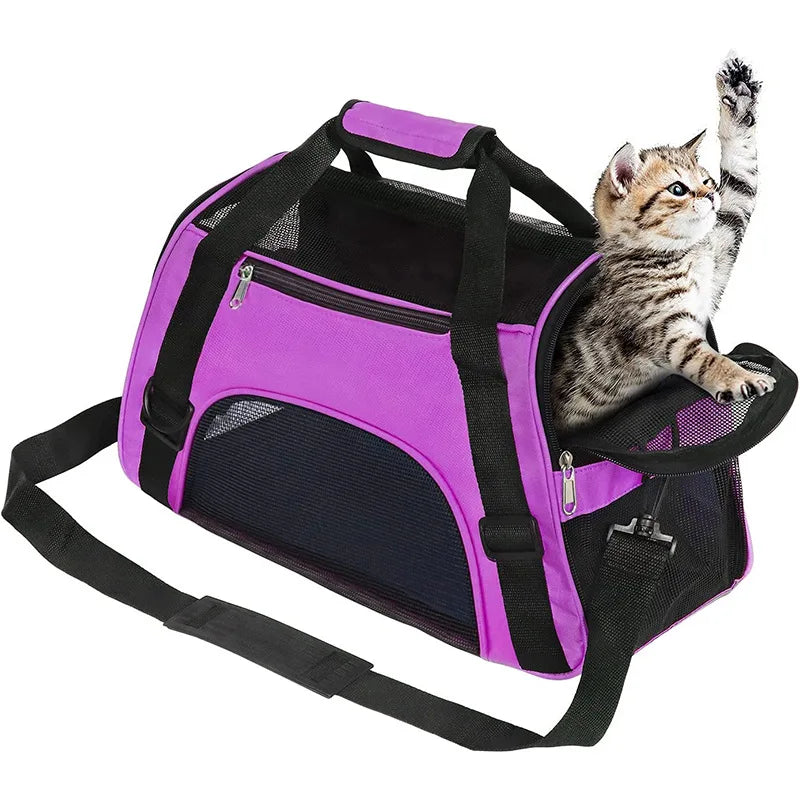 Breathable Mesh Cat & Dog Carrier – Foldable | Sizes S, M & L | Travel & Outdoor
