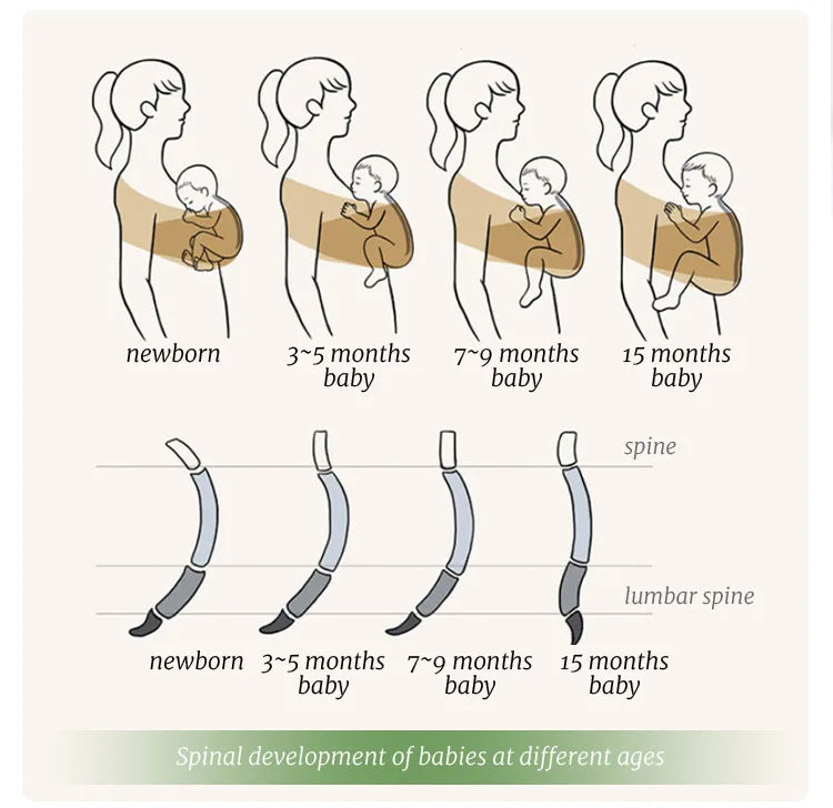 Ergonomic Baby Carrier with X-Shaped Support