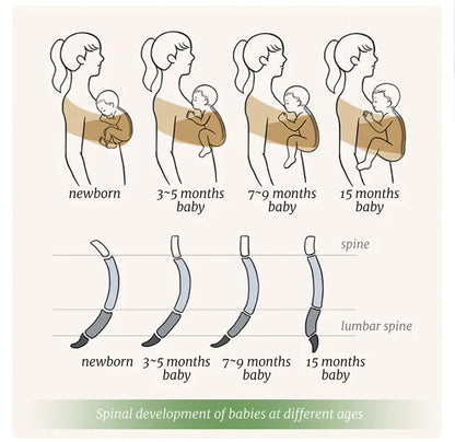 Ergonomic Baby Carrier with X-Shaped Support